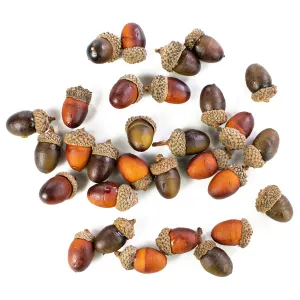 1.25" Assorted Fall Acorns