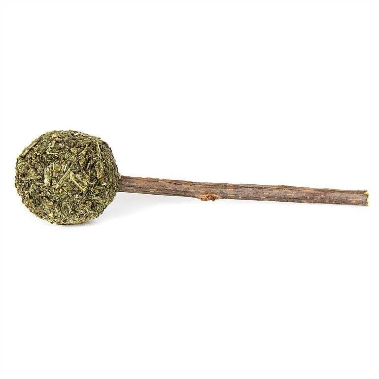 Catnip Fitness Lollipop