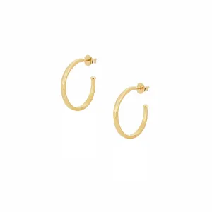 Gold Hammered Hoop Stud Earrings