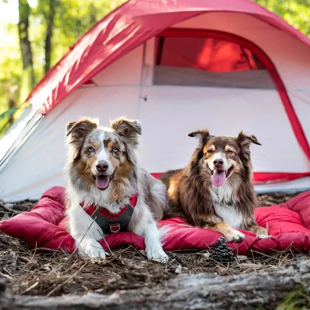 Loft Wander Dog Bed