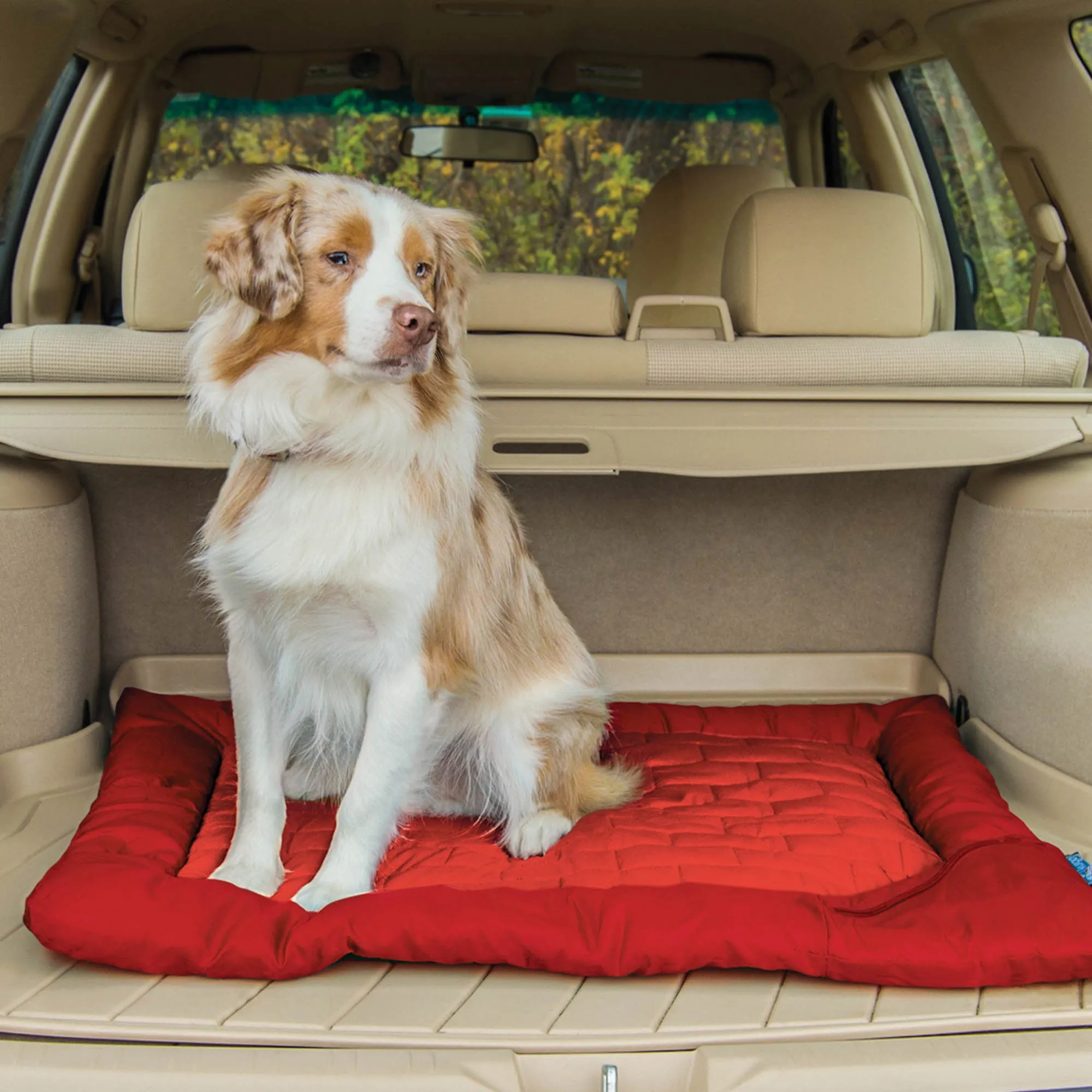 Loft Wander Dog Bed