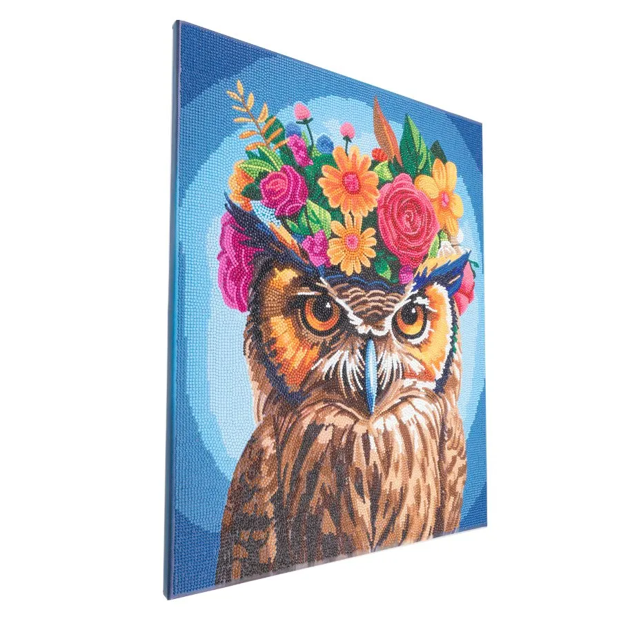 "Owl" Crystal Art Canvas Kit 40x50cm