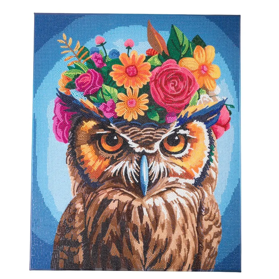 "Owl" Crystal Art Canvas Kit 40x50cm