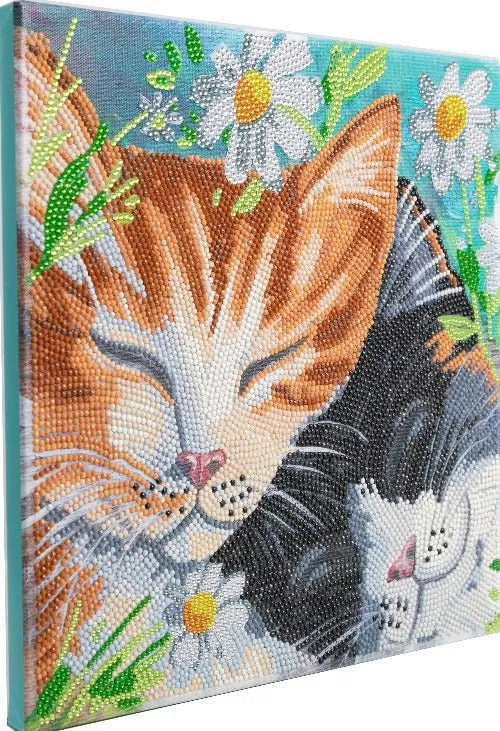 "Sleepy Cats" 30x30cm Crystal Art Kit