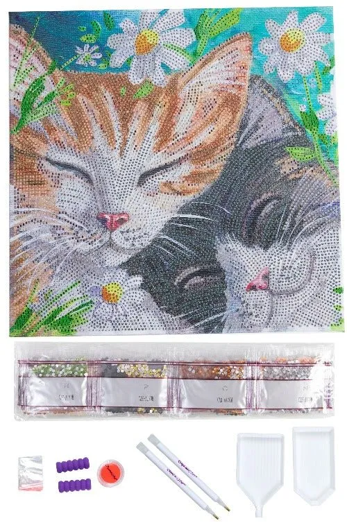 "Sleepy Cats" 30x30cm Crystal Art Kit