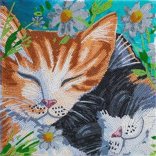 "Sleepy Cats" 30x30cm Crystal Art Kit