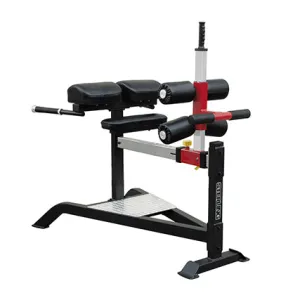 Sterling Series, Glute Ham Bench